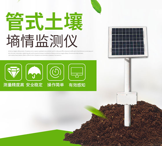 管式土壤墑情監(jiān)測儀
